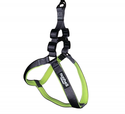 KUTYAHÁM -M- szürke/neonzöld