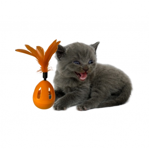 MACSKAJÁTÉK CSENGŐVEL - KELJFELJANCSI